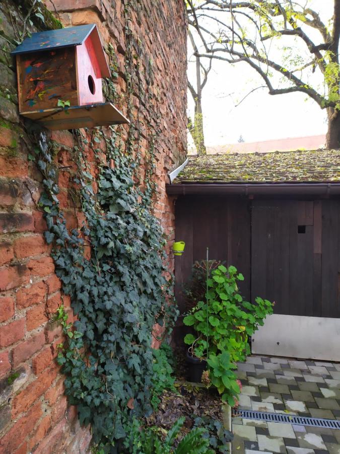 Cozy Uppertown Studio Zagreb Eksteriør bilde